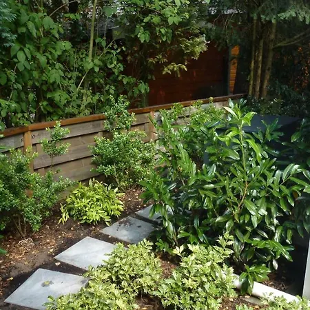 בקתה Vakantiechalet P11 Europarcs De Veluwe *